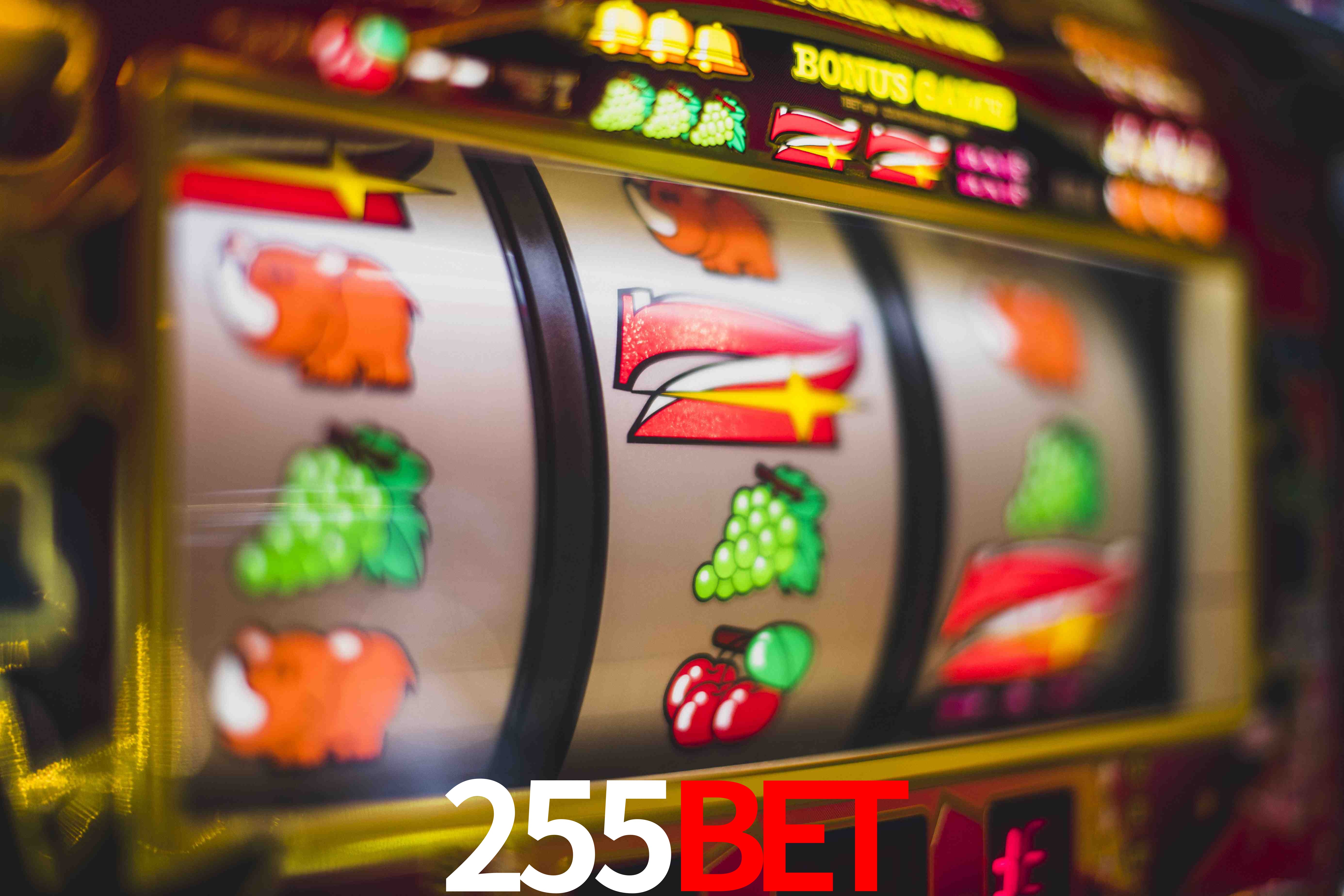 Slot Games 255bet